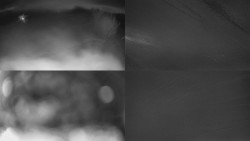 Sdružený snímek Bludný