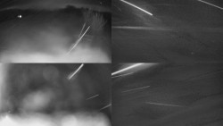 Sdružený snímek Bludný