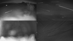 Sdružený snímek Bludný