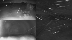 Sdružený snímek Bludný