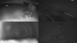 Sdružený snímek Bludný