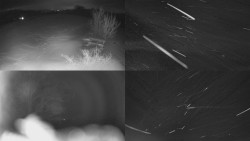 Sdružený snímek Bludný