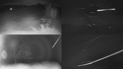 Sdružený snímek Bludný