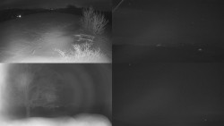 Sdružený snímek Bludný