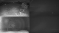 Sdružený snímek Bludný