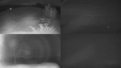 Sdružený snímek Bludný