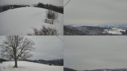 Sdružený snímek Bludný