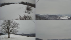 Sdružený snímek Bludný