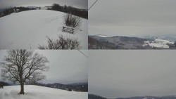 Sdružený snímek Bludný