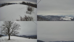 Sdružený snímek Bludný