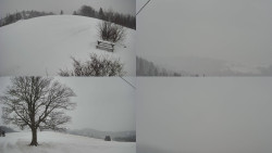 Sdružený snímek Bludný