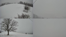 Sdružený snímek Bludný