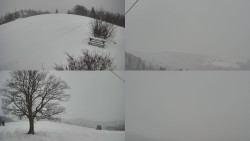 Sdružený snímek Bludný