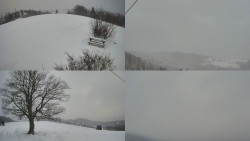 Sdružený snímek Bludný