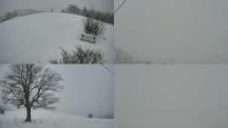 Sdružený snímek Bludný