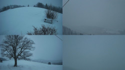 Sdružený snímek Bludný