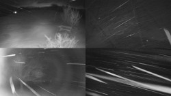 Sdružený snímek Bludný