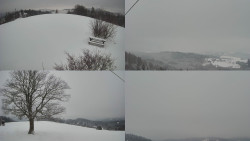 Sdružený snímek Bludný