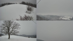 Sdružený snímek Bludný