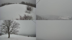 Sdružený snímek Bludný