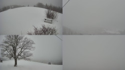 Sdružený snímek Bludný