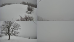 Sdružený snímek Bludný