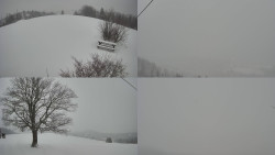 Sdružený snímek Bludný