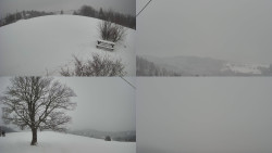 Sdružený snímek Bludný