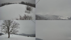 Sdružený snímek Bludný