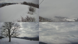 Sdružený snímek Bludný