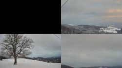 Sdružený snímek Bludný