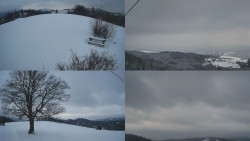 Sdružený snímek Bludný