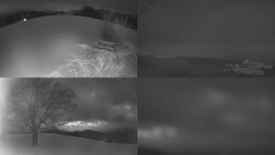 Sdružený snímek Bludný