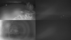 Sdružený snímek Bludný