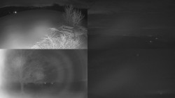 Sdružený snímek Bludný