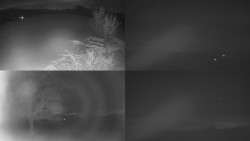 Sdružený snímek Bludný