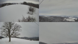 Sdružený snímek Bludný