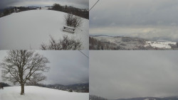 Sdružený snímek Bludný