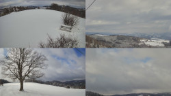 Sdružený snímek Bludný