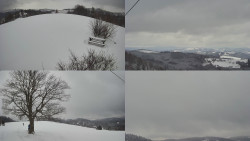 Sdružený snímek Bludný