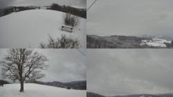 Sdružený snímek Bludný