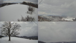 Sdružený snímek Bludný