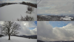 Sdružený snímek Bludný