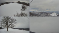 Sdružený snímek Bludný