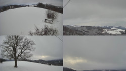 Sdružený snímek Bludný