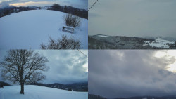 Sdružený snímek Bludný