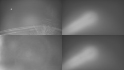 Sdružený snímek Bludný