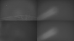 Sdružený snímek Bludný