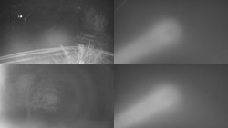 Sdružený snímek Bludný