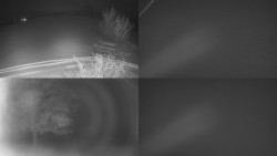 Sdružený snímek Bludný